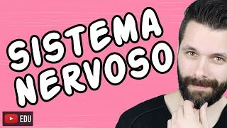 SISTEMA NERVOSO  FISIOLOGIA  Aula  Biologia com Samuel Cunha [upl. by Anemaj857]