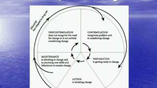 Stages of Behavior Change [upl. by Rickert]