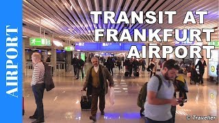 TRANSIT WALK AT FRANKFURT Airport FRA Terminal 1  Connection Flight Transfer Arriving amp Departing [upl. by Ariak364]